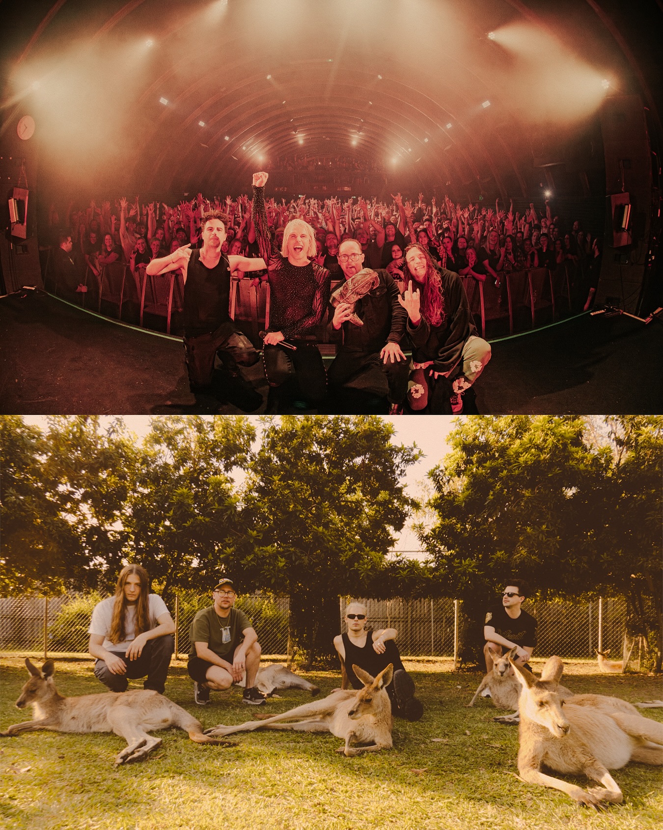 I See Stars